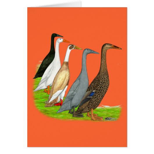 Runner Duck Assortment Cards (Front)