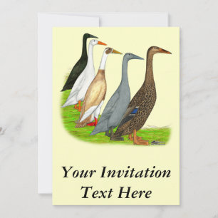 Runner Duck Assortment Invitation