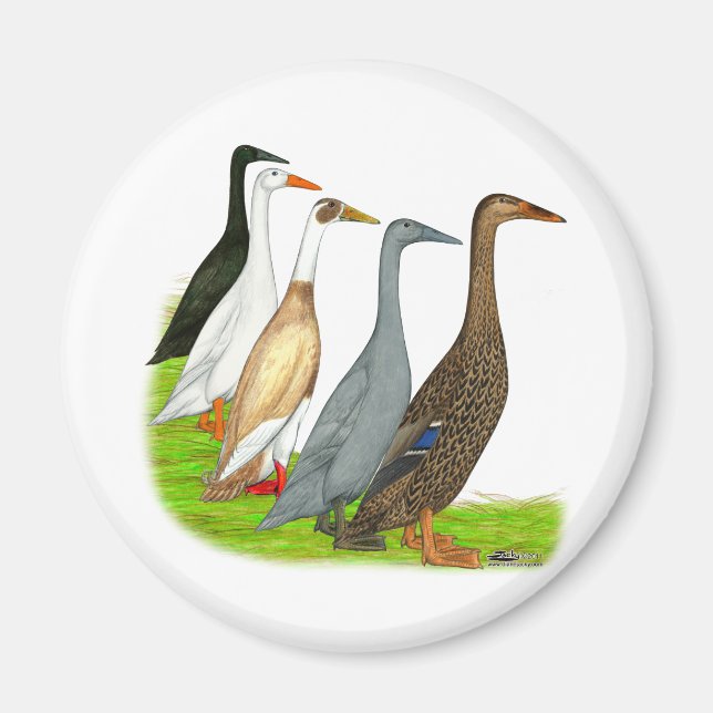Runner Duck Assortment Magnet (Front)