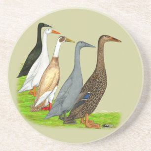 Runner Duck Assortment Sandstone Coaster