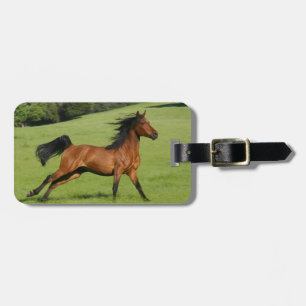 Running Arabian Horse Luggage Tag