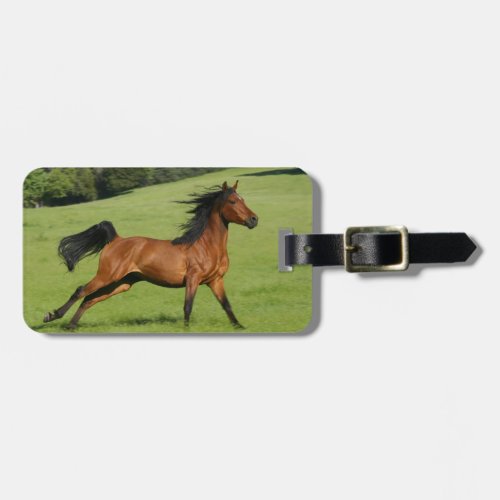 Running Arabian Horse Luggage Tag