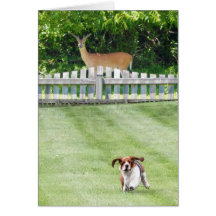 Running Basset & Deer Neighbor On Blank Card