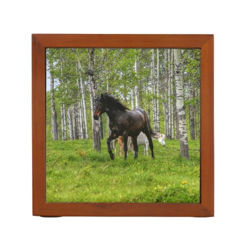 Running Black Thoroughbred Percheron Horse Photo 2 PencilPen Holder