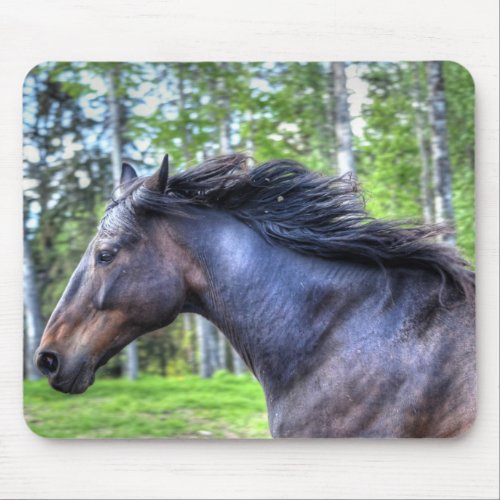 Running Black Thoroughbred Percheron Horse Photo Mouse Pad