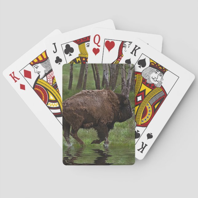 Running Buffalo & Forest, Bison-lover's Design Poker Cards (Back)