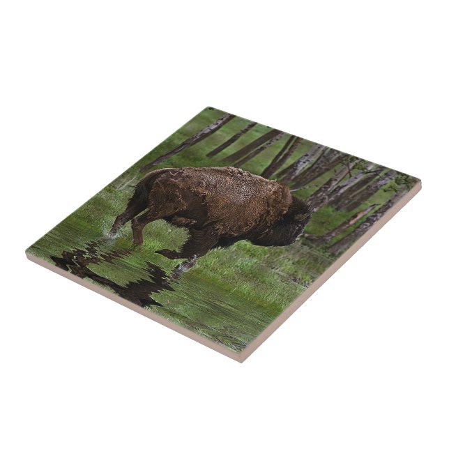 Running Buffalo & Forest, Bison-lover's Design Tile (Side)