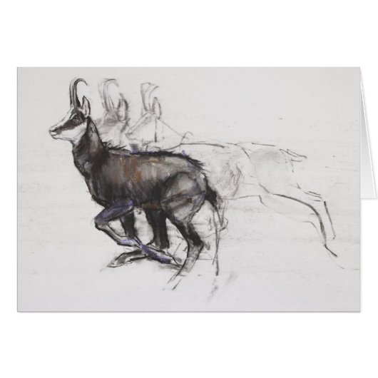 Running Chamois Cards (Front Horizontal)