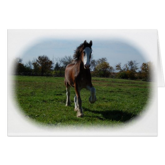 Running Clydesdale Cards (Front Horizontal)