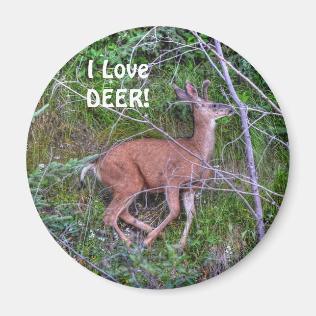 Running Deer Wildlife for Outdoor-lovers Magnet (Front)