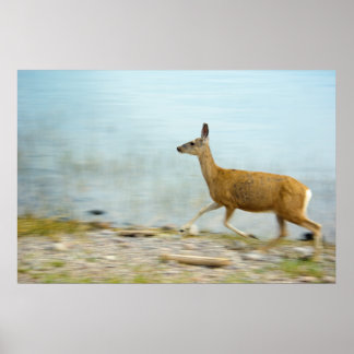 Running Doe Print