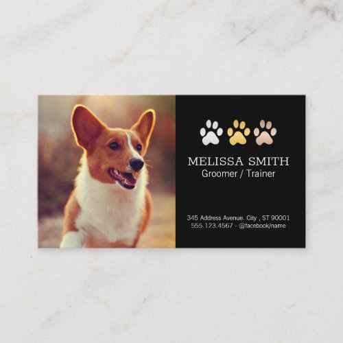 Running Dog  Dog Trainer and Groomer Appt Appointment Card