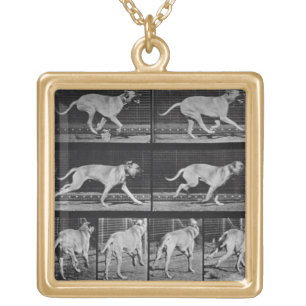 Running Dog, plate 707 from 'Animal Locomotion', 1 Gold Plated Necklace