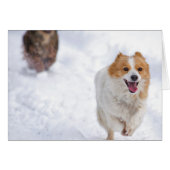 Running dogs (Front Horizontal)