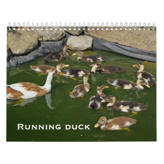 Running duck calendar