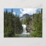 Running Eagle Falls at Glacier National Park Postcard