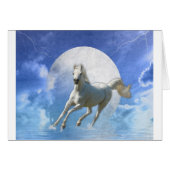 Running Free (Front Horizontal)