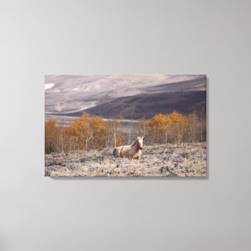 Running Free in the Rockies  Triptych Canvas Set