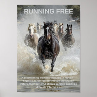 Running Free  Poster