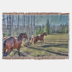 Running Herd of Horses Photo on a BC Ranch 3 Throw Blanket