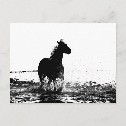 running horse animal postcard