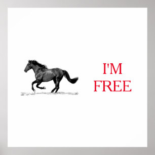 Running Horse Black White I'm Free Freedom Poster