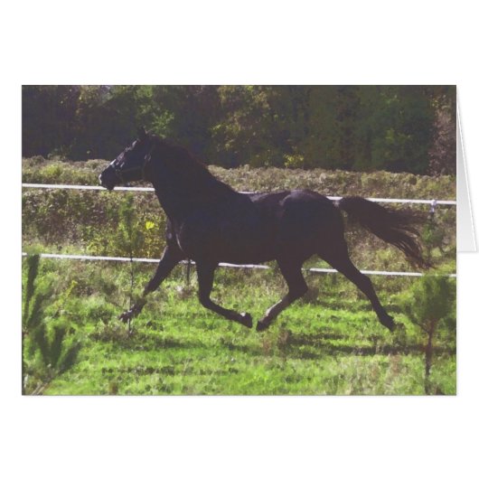 Running Horse Card (Front Horizontal)