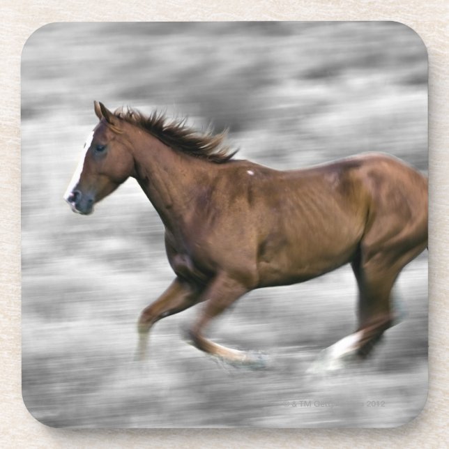 Running horse coaster (Front)