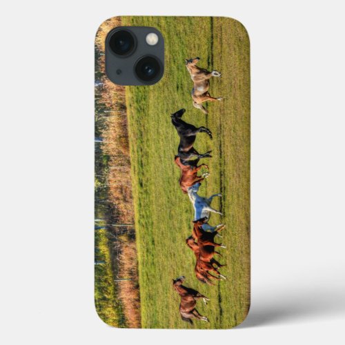 Running Horse Herd  Ranch Pasture Equine Photo iPhone 13 Case