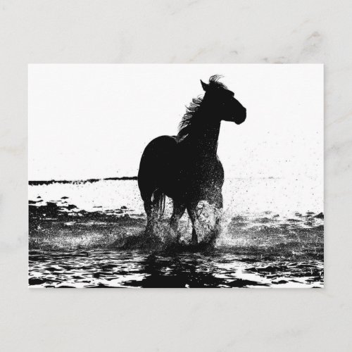 Running Horse Modern Black  White Pop Art Picture Postcard