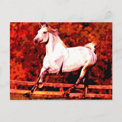 Running Horse Postcard