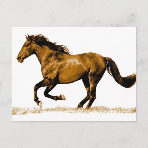 Running Horse Postcard