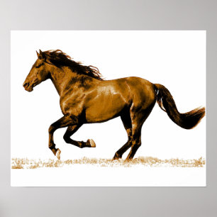 Running Horse Poster
