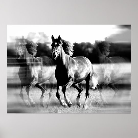 Running Horse Poster Print - B&amp;W Horse Posters | Zazzle.com