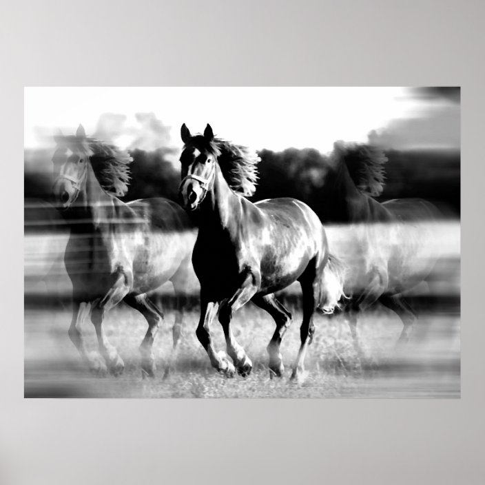 Running Horse Poster Print B&W Horse Posters