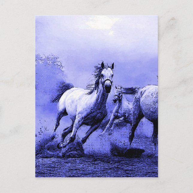 Running Horses & Blue Moonlight Postcard (Front)