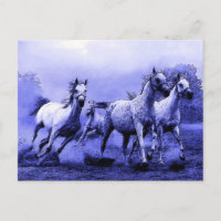 Running Horses & Blue Moonlight