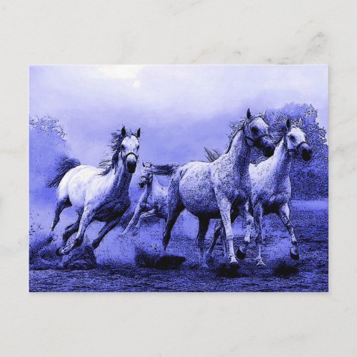 Running Horses  Blue Moonlight Postcard