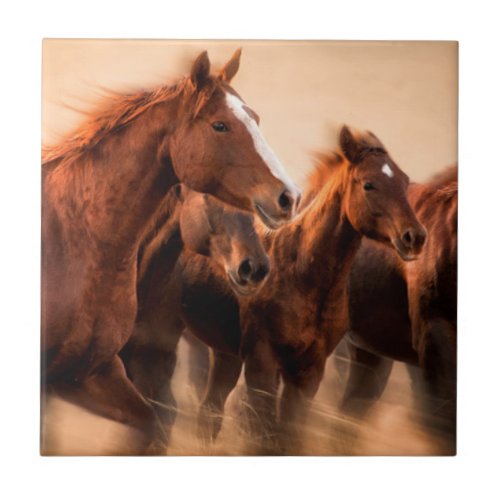 Running horses blur and flying manes ceramic tile