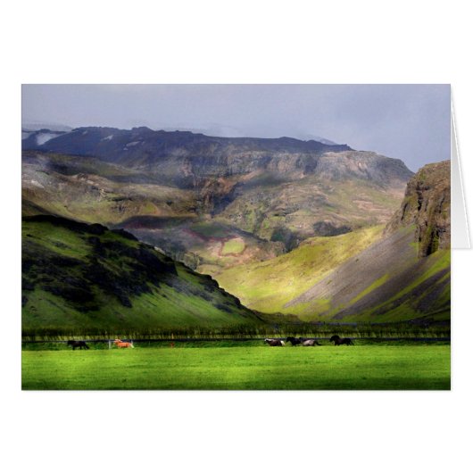 Running Horses Iceland Cards (Front Horizontal)