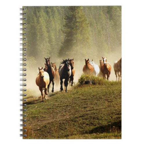 Running horses on Montana ranch Notebook