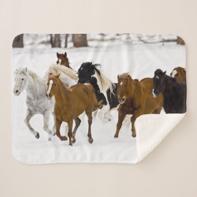 Running Horses on The Hideout Ranch Sherpa Blanket (Front (Horizontal))