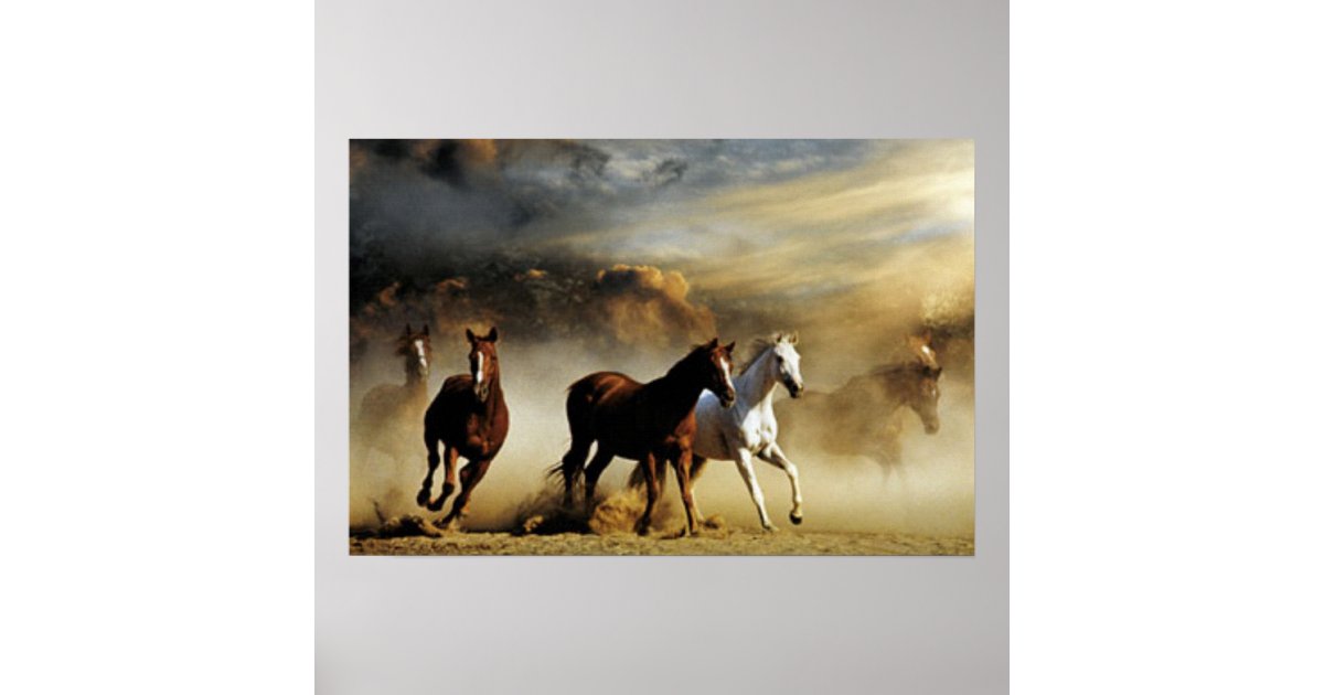 Running Horses Poster | Zazzle