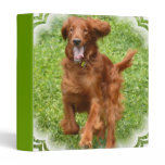Running Irish Setter Binder