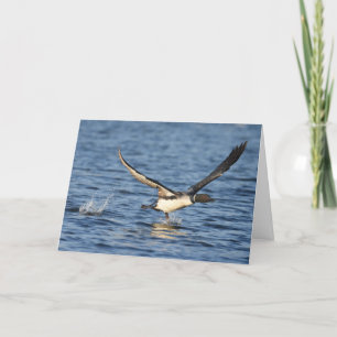 Running Loon Thank You Card