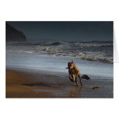 Running Lurcher Greyhound on Beach (Front Horizontal)