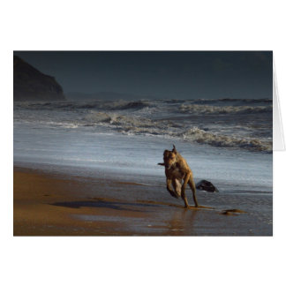 Running Lurcher Greyhound on Beach Cards