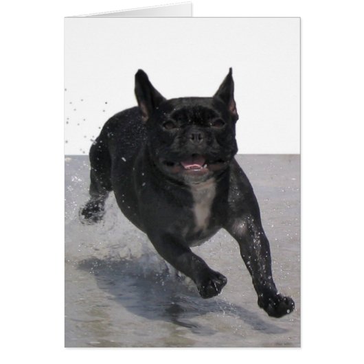 Running on the Beach, Paris Merille Cards (Front)