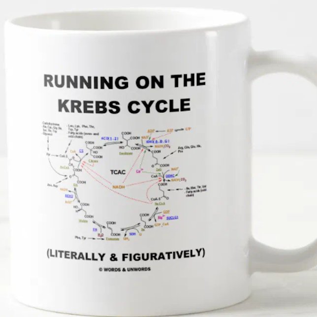 Running On The Krebs Cycle (Science Humor) Coffee Mug (Biochemistry attitude mug for anyone who runs on the Krebs cycle (literally & figuratively)!)