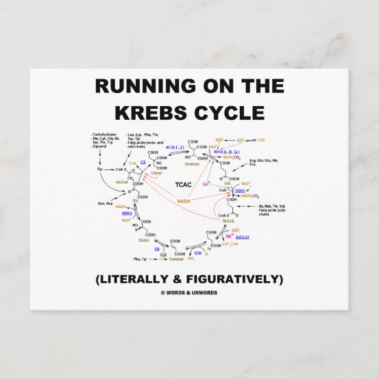 Running On The Krebs Cycle (Science Humor) Postcard